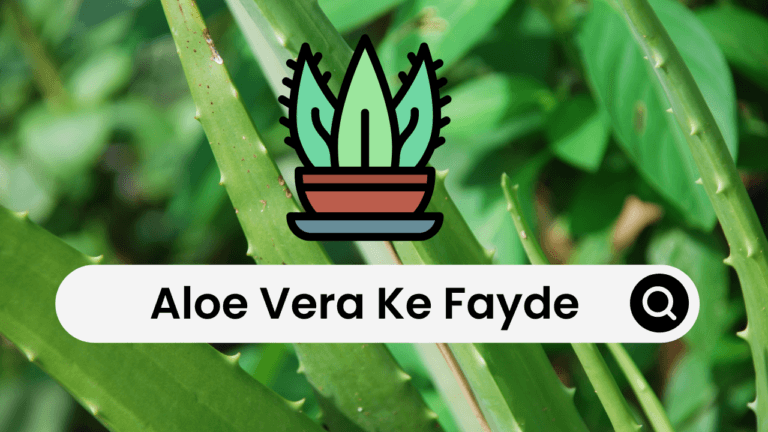Aloe Vera Ke Fayde-घर में एलोवेरा का पौधा अच्छा है या बुरा ?